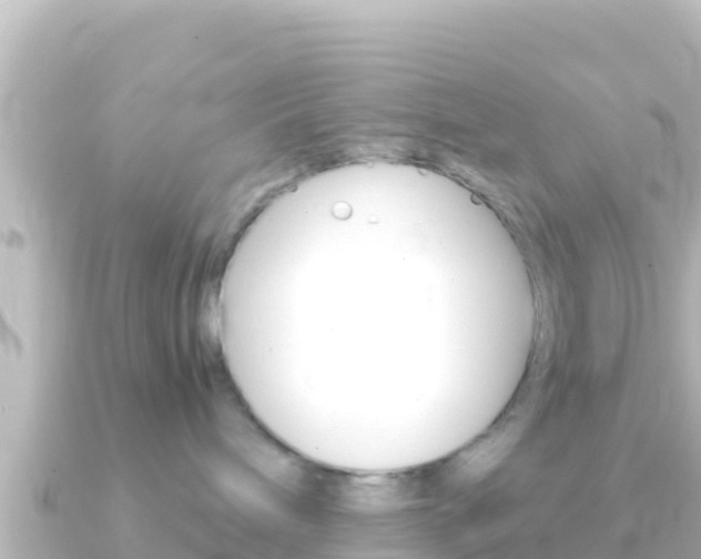 X0000091240240200708091136