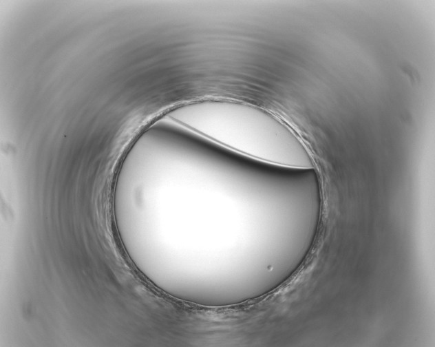 X0000091240241200708091136