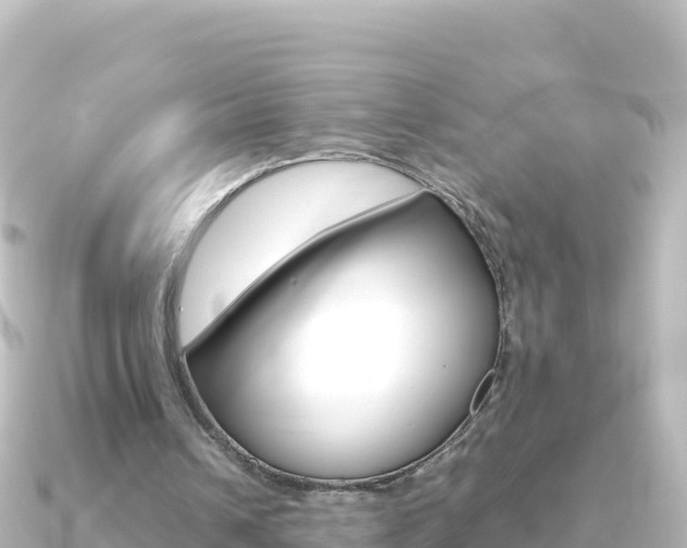 X0000091240242200708091136