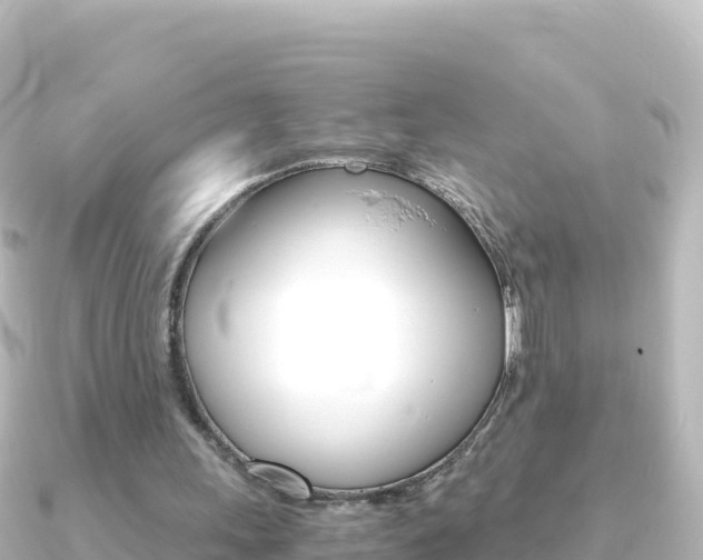 X0000091240243200708091136