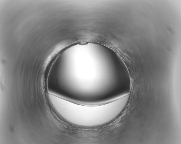 X0000091240244200708091136