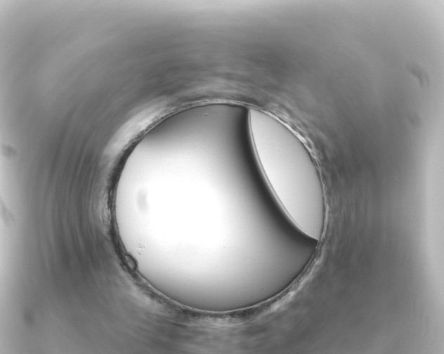 X0000091240245200708091136