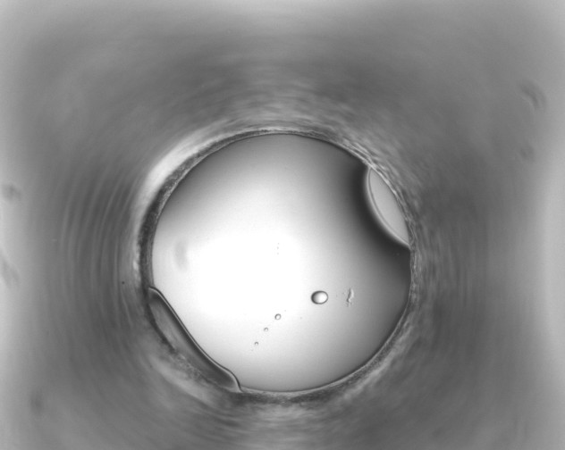X0000091240246200708091136