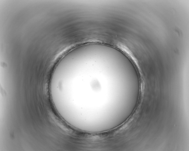 X0000091240249200708091136