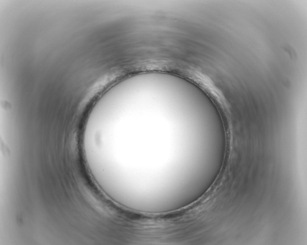 X0000091240250200708091136