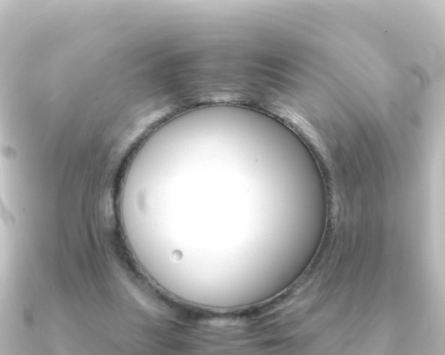 X0000091240251200708091136