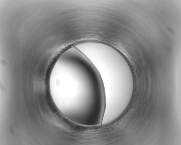 X0000091240252200708091136