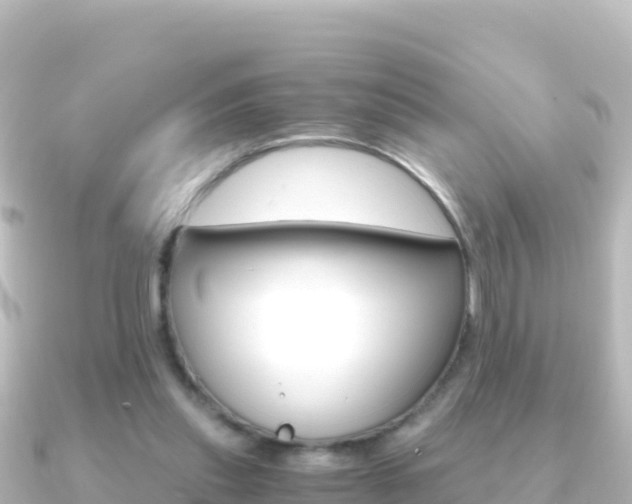 X0000091240253200708091136