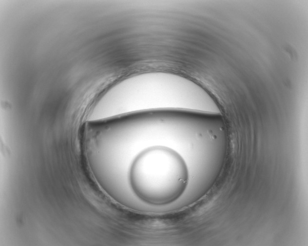 X0000091240254200708091136