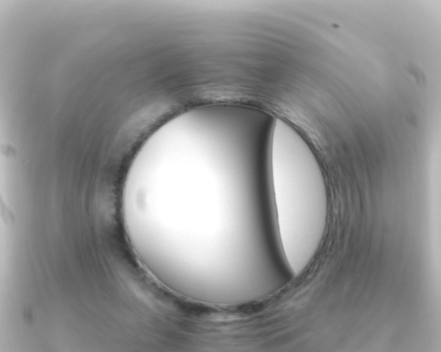 X0000091240255200708091136