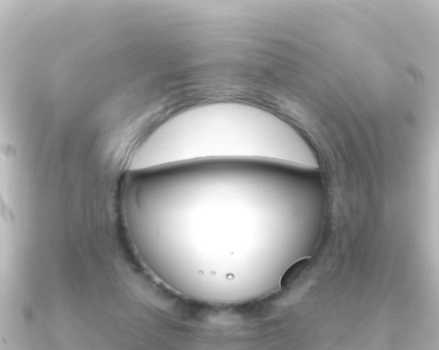 X0000091240258200708091136
