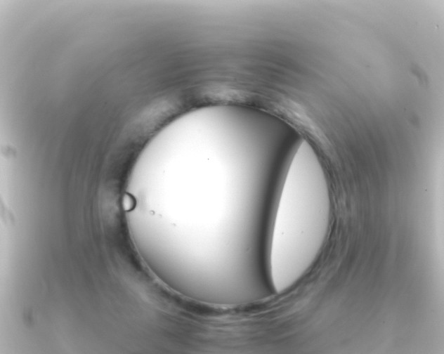 X0000091240259200708091136