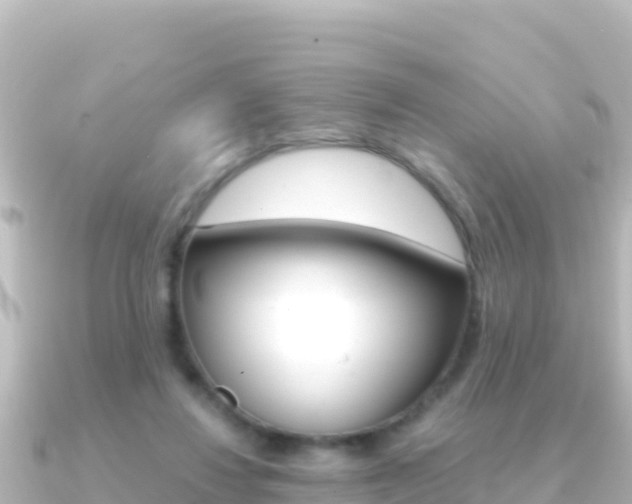 X0000091240260200708091136