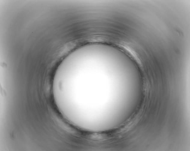 X0000091240261200708091136