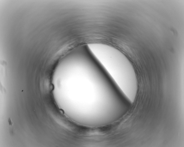 X0000091240262200708091136