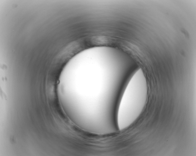 X0000091240267200708091136