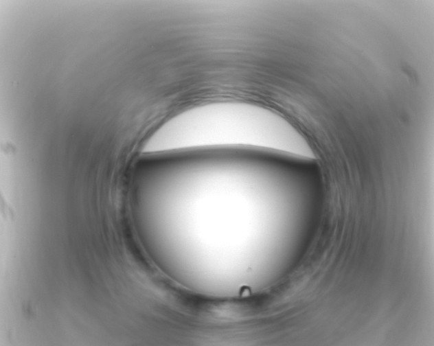 X0000091240268200708091136
