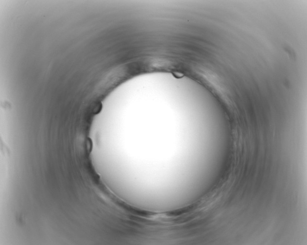 X0000091240269200708091136