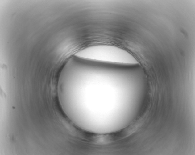 X0000091240273200708091136