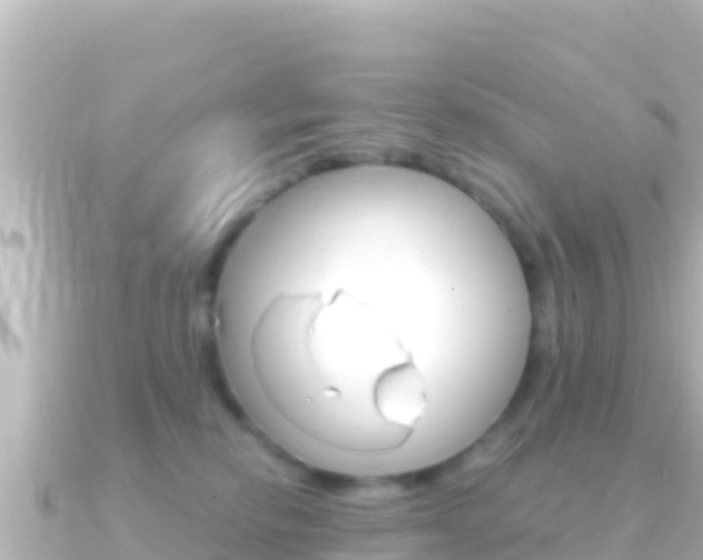 X0000091240278200708091136