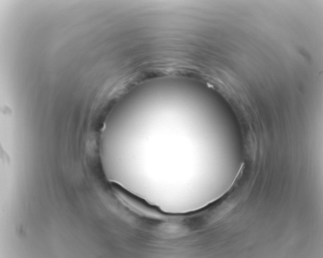 X0000091240280200708091136