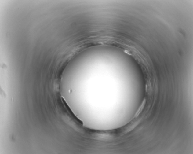 X0000091240284200708091136