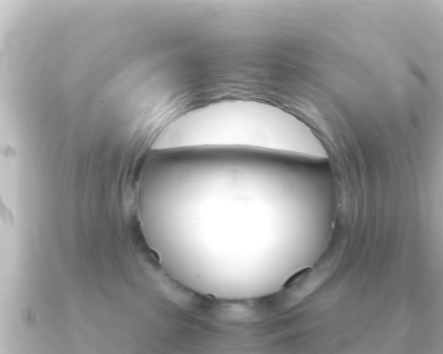 X0000091240285200708091136