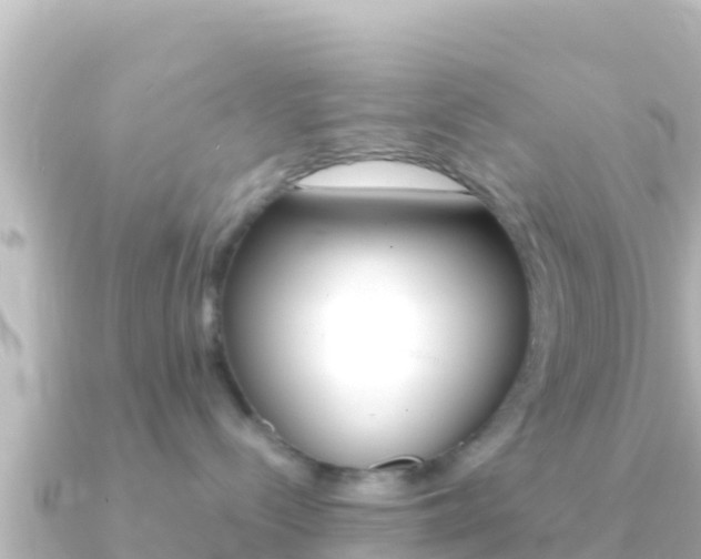 X0000091240288200708091136
