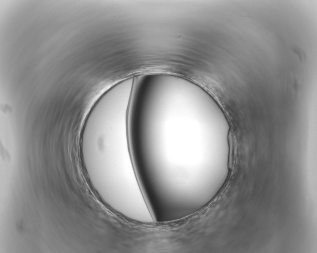 X0000091240289200708091136