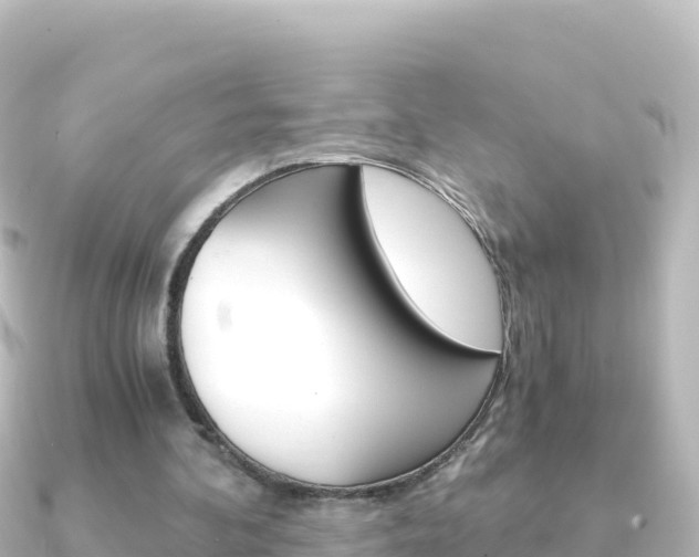 X0000091240292200708091136