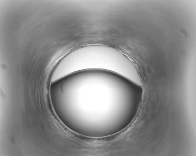 X0000091240293200708091136