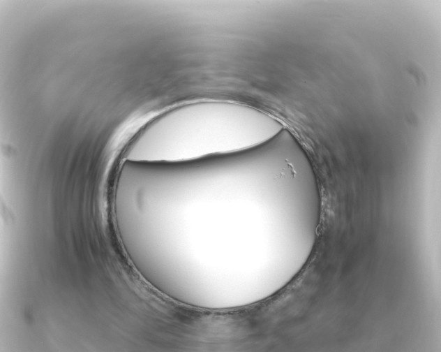 X0000091240294200708091136