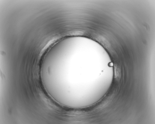 X0000091240300200708091136