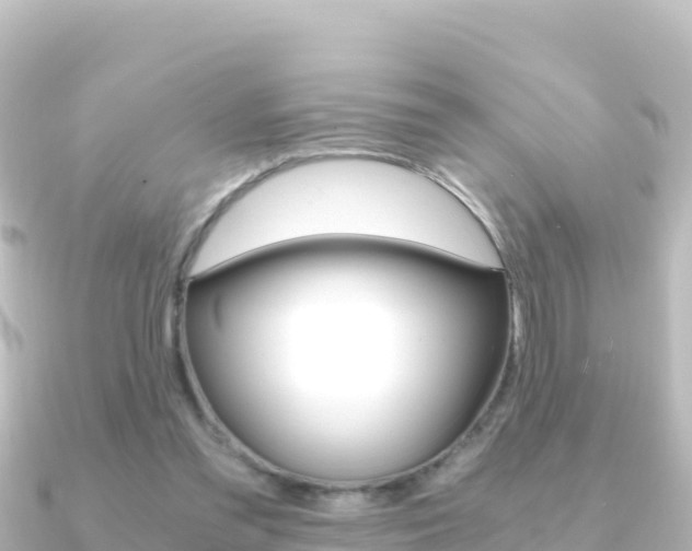 X0000091240301200708091136