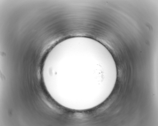 X0000091240302200708091136