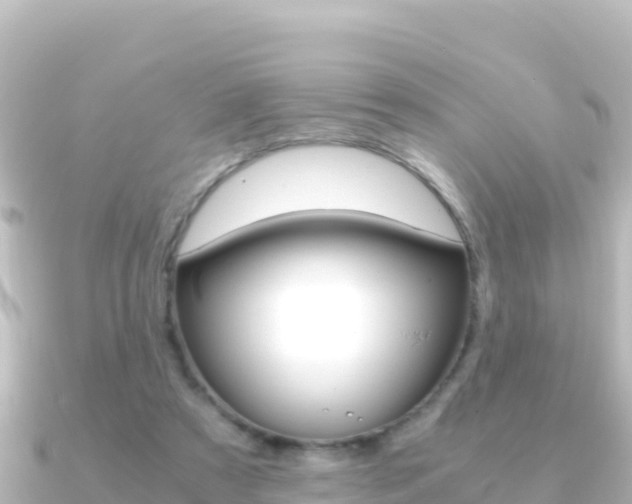 X0000091240305200708091136