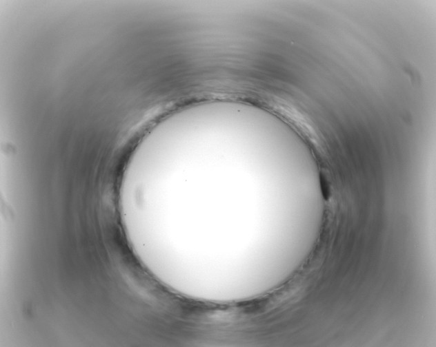 X0000091240306200708091136