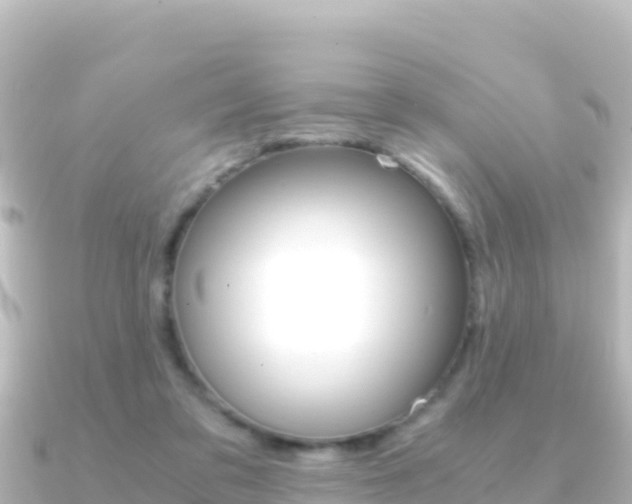 X0000091240309200708091136