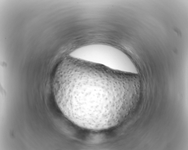 X0000091240311200708091136