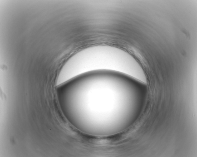 X0000091240313200708091136