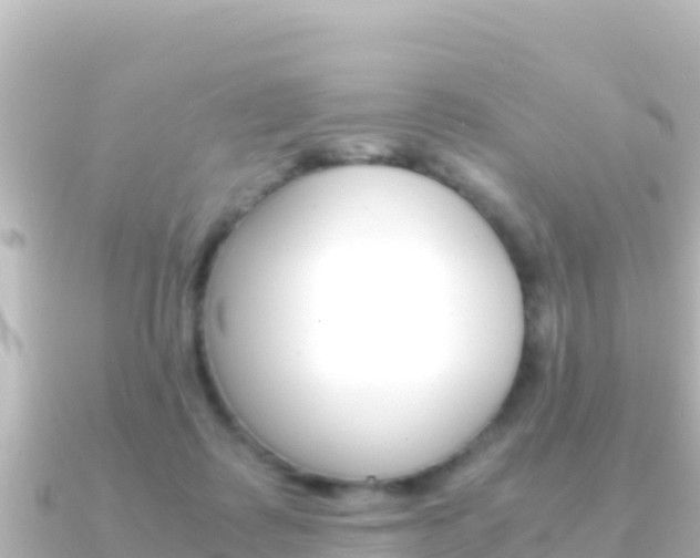 X0000091240315200708091135