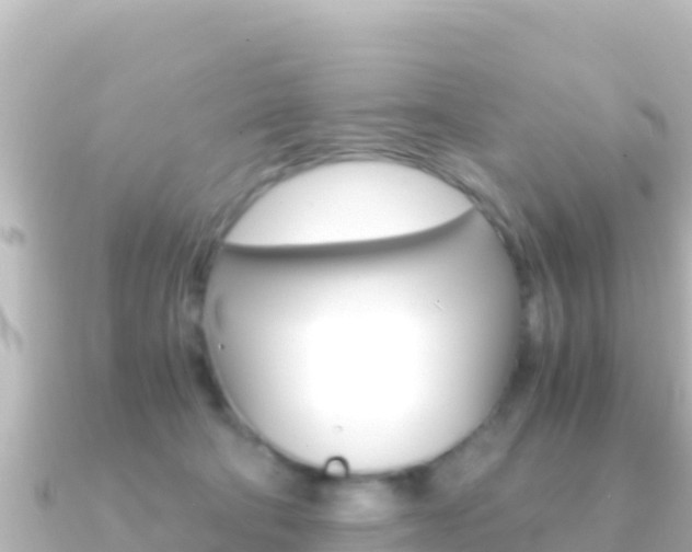 X0000091240322200708091135
