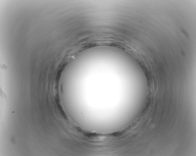 X0000091240323200708091135