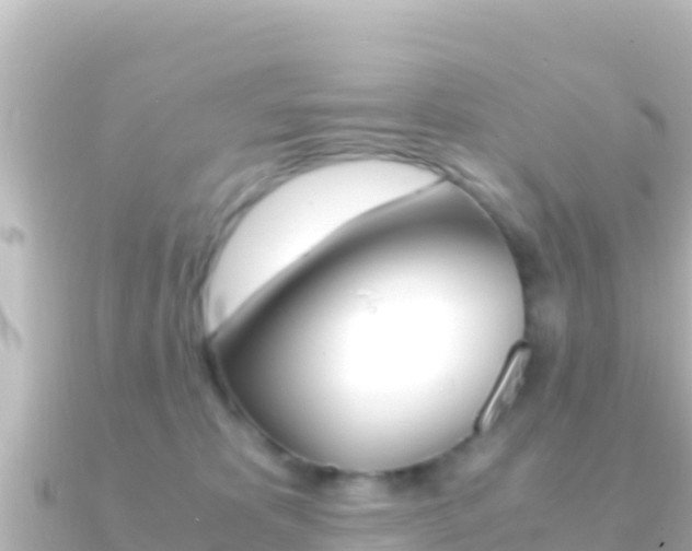 X0000091240325200708091135