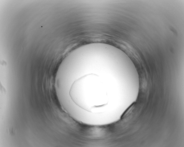 X0000091240326200708091135