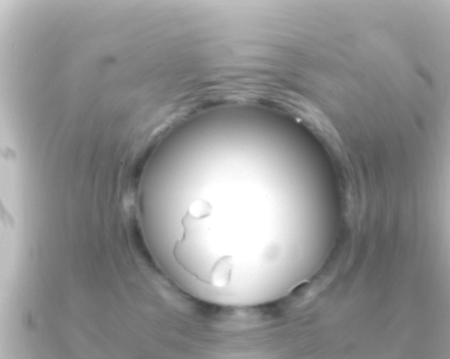 X0000091240329200708091135