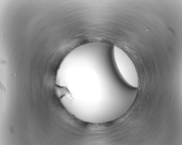 X0000091240331200708091135