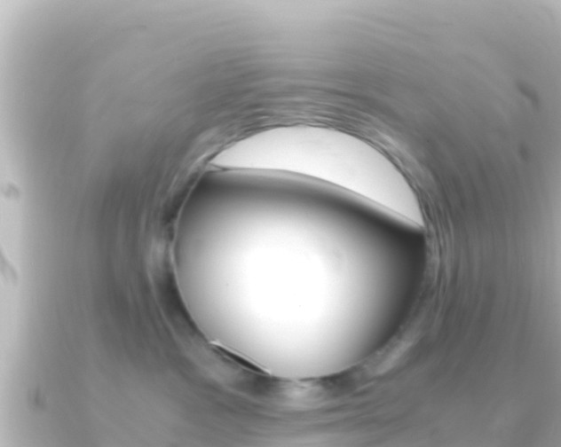 X0000091240333200708091135