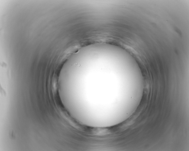 X0000091240334200708091135