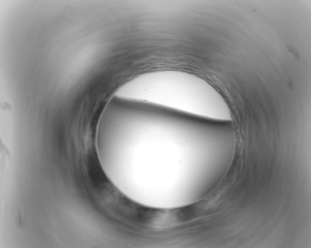 X0000091240335200708091135